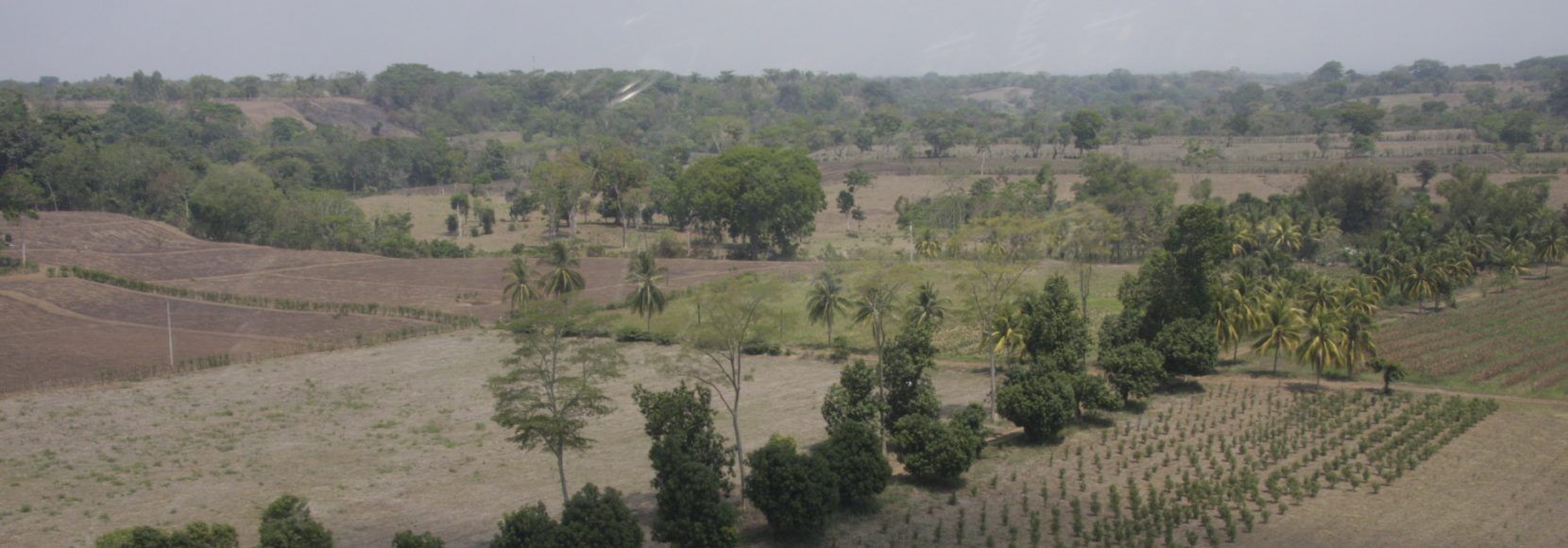 guatemala-agriculture