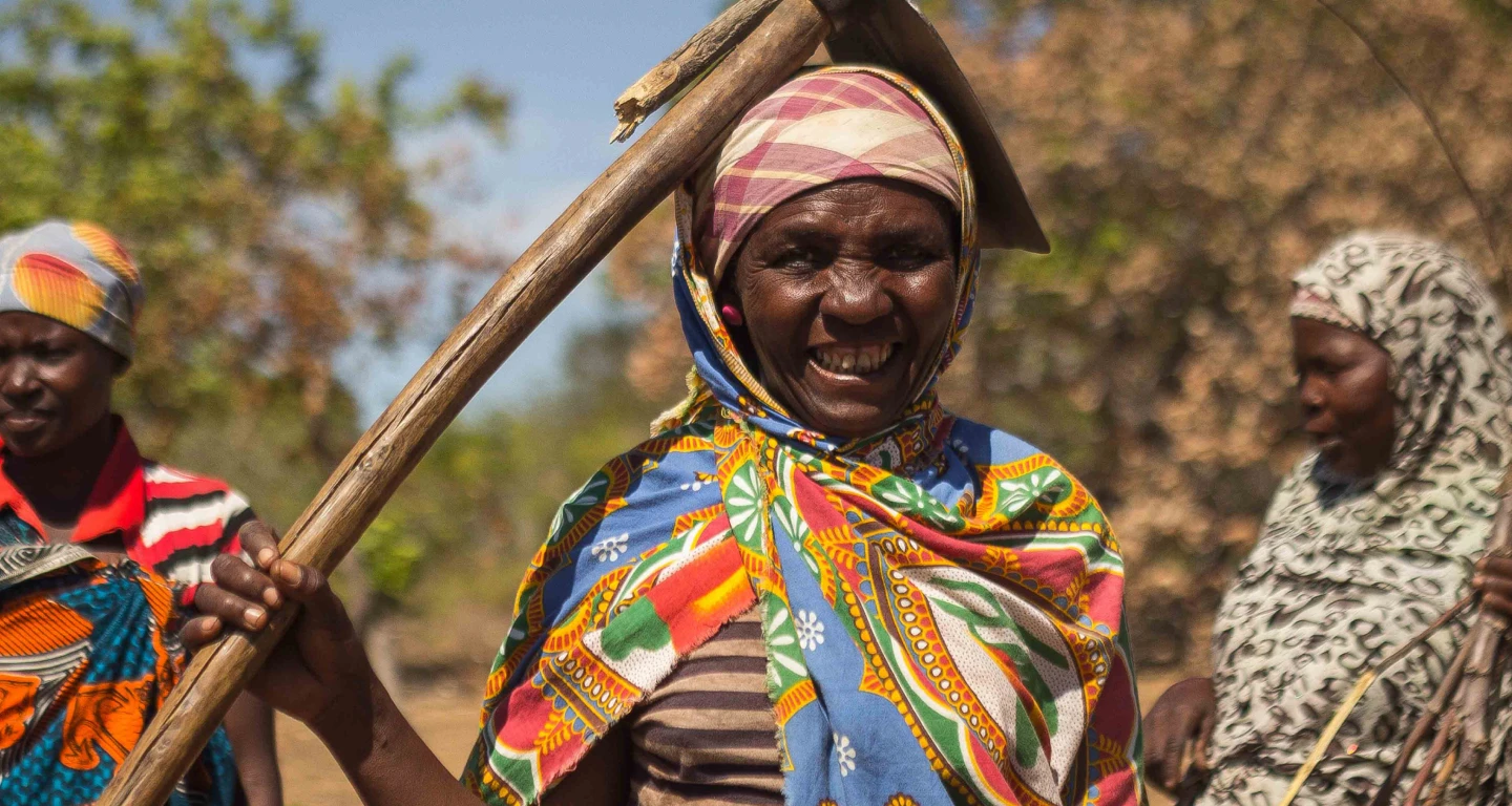 African Women in Field Harvesting Crop