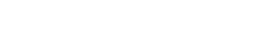 Technoserve