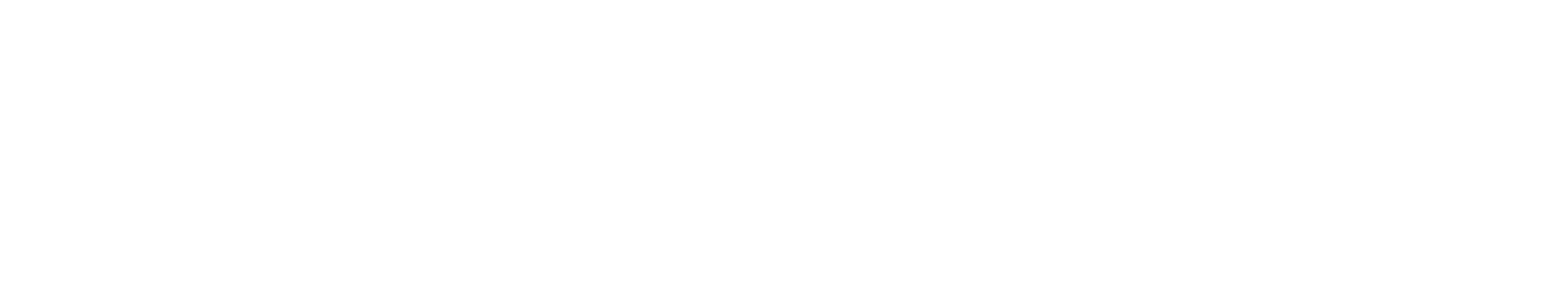 Technoserve