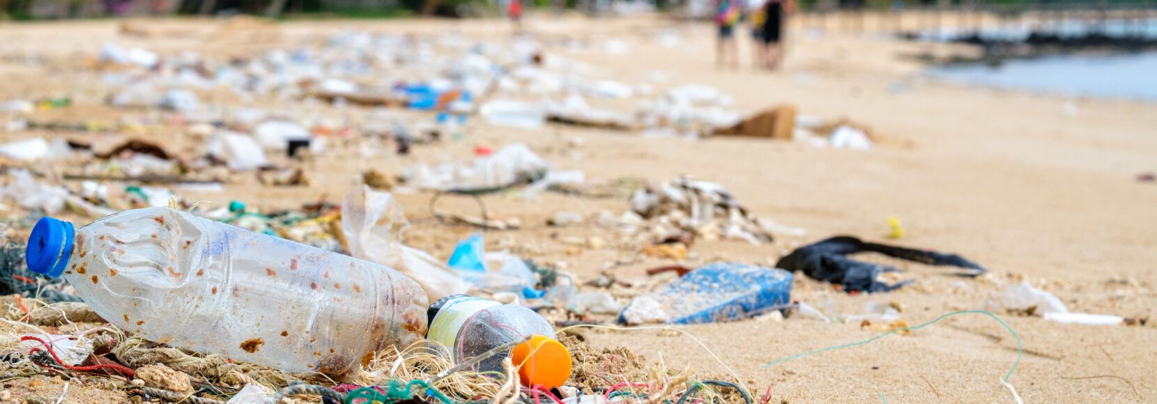 Plastic bottles and other trash on the beach.