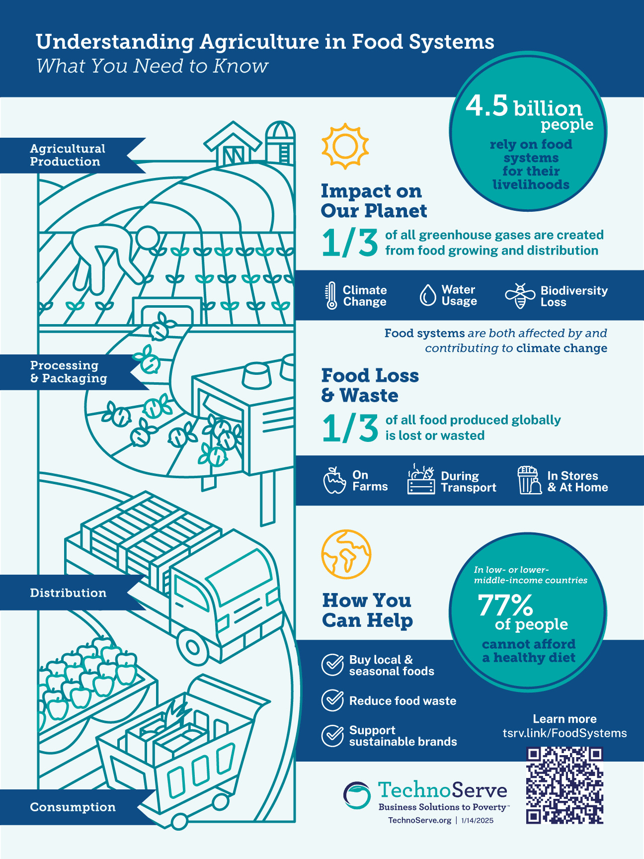 Understanding Food Systems: Key Components & Impacts