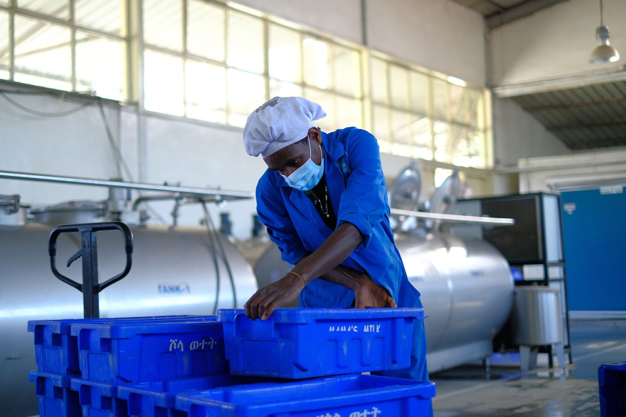 Can the UN Food Systems Summit Chart a New Food Future? - TechnoServe